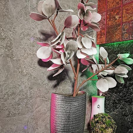 Crystal Central Apartment 브라쇼브 외부 사진