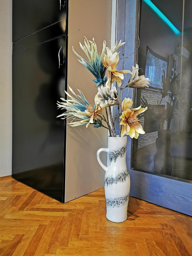 Crystal Central Apartment 브라쇼브 외부 사진